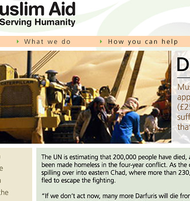 Showing detail of Microsite homepage